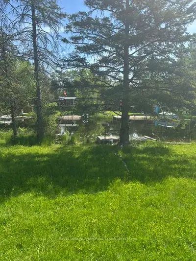 31 Fire Route 109 Route, Trent Lakes, On K0m 1a0