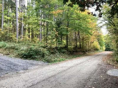 00 Snowshoe Lane, Armour, On P0a 1l0