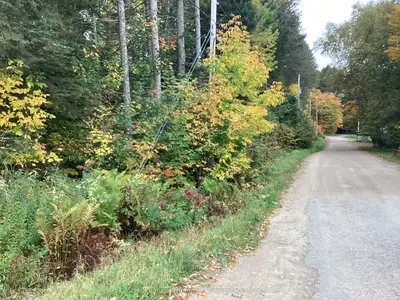 4 Snowshoe Lane, Armour, On P0a 1l0