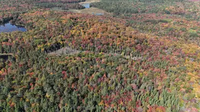 Pl20 Langford Road, Lake Of Bays, On P0b 1a0