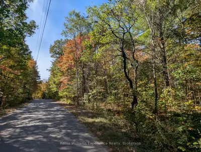 Pl20 Langford Road, Lake Of Bays, On P0b 1a0