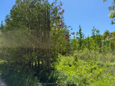 122 James Street, Blue Mountains, On L9y 0t6