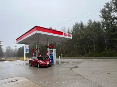 7561 Hwy 35, Kawartha Lakes, On, K0m 2l0