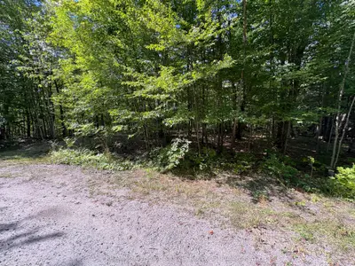 0 Dauncey Road, Magnetawan, On P0a 1p0