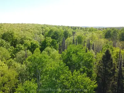 Con 13, Pt Lot 21, Part 1 Golf Course Road, Chisholm, On P0h 1z0