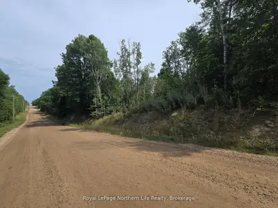 680 Mount Pleasant Road, Calvin, On P0h 2e0