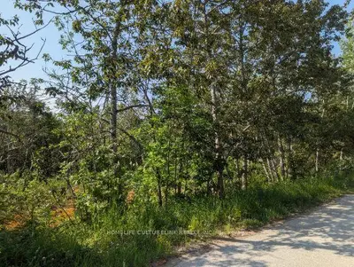 105 Corey Crescent, Northern Bruce Peninsula, On N0h 2r0