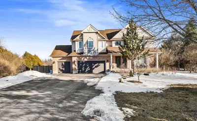 Detached in Amaranth