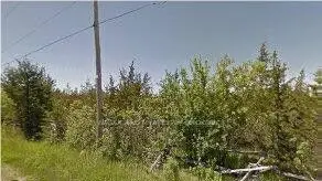 265 Craigen Road, Stone Mills, On K0k 2s0