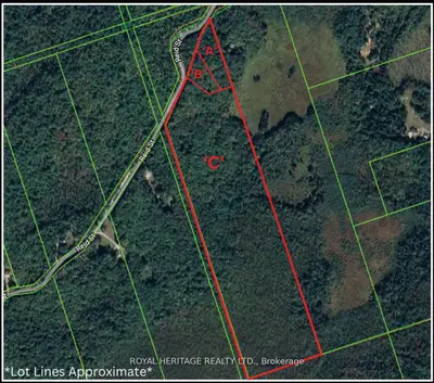 0b Reid Street, Trent Lakes, On K0m 2a0