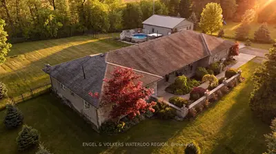 Detached in Brant