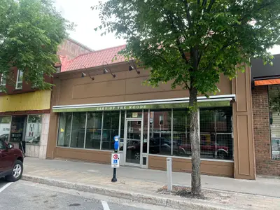 133 Main Street South, Kenora, On P9n 1t1