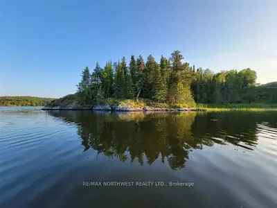 1319 Laurenson Lake, Kenora, On P9n 4g9