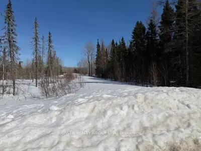 Vacant Land in Conmee