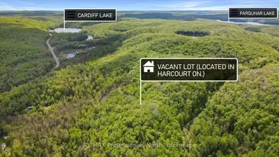 Vacant Land in Dysart et al