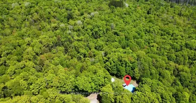 722 South Horn Lk Road, Armour, On P0a 1c0