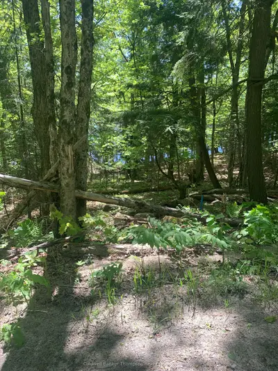 00 Wurm Road, Magnetawan, On P0a 1p0