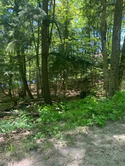 00 Wurm Road, Magnetawan, On P0a 1p0