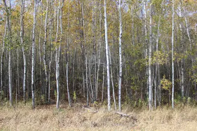 Vacant Land in Lake of the Woods