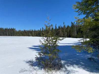 Parcel 11 Con 6, Thunder Bay Remote Area, On P0t 2k0