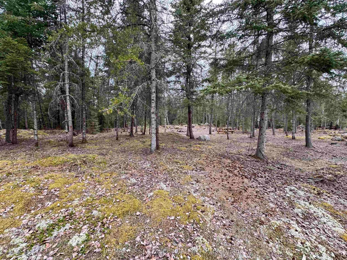 1,2,4,5 Bennett Drive /mcmanus Street, Red Lake, On P0v 1c0