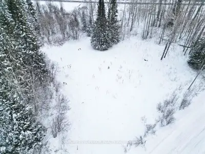 Vacant Land in Red Rock