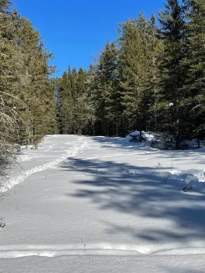 Vacant Land in Thunder Bay Remote Area