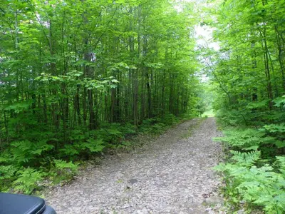Vacant Land in Muskoka Lakes