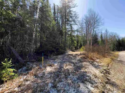 Vacant Land in Kenora