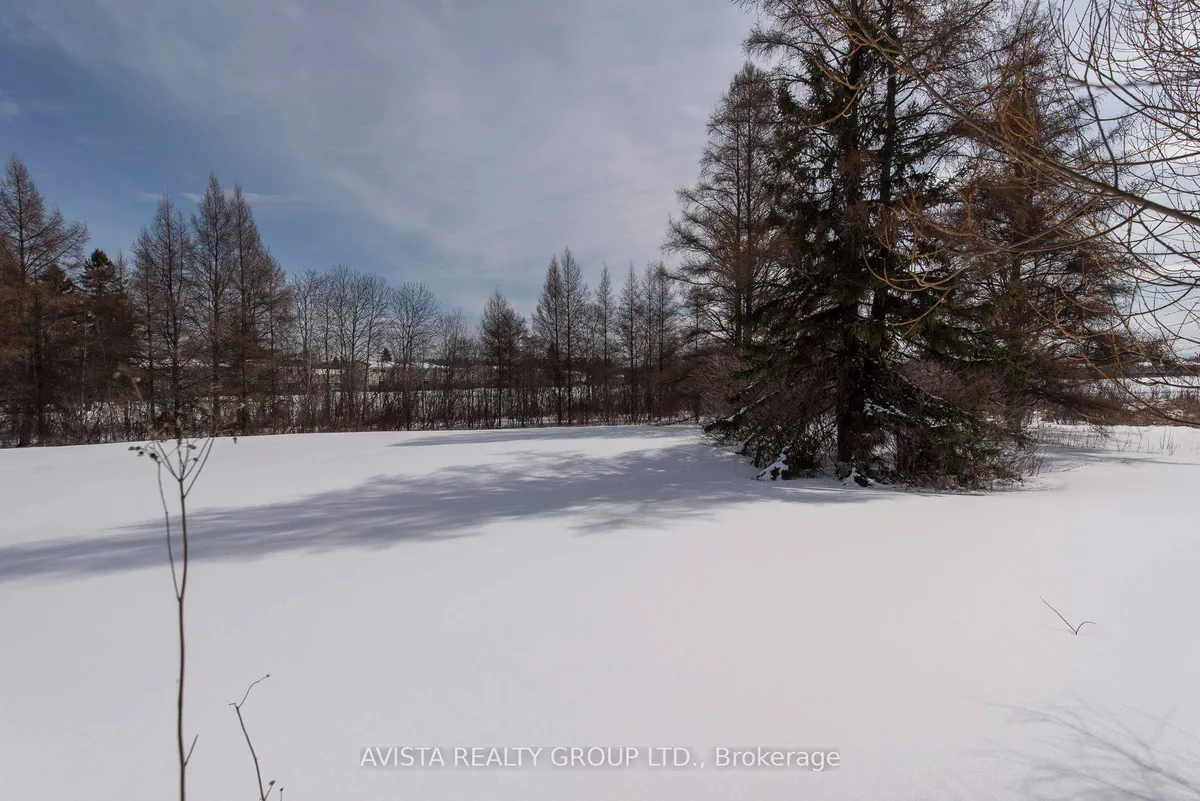 Detached in Thunder Bay