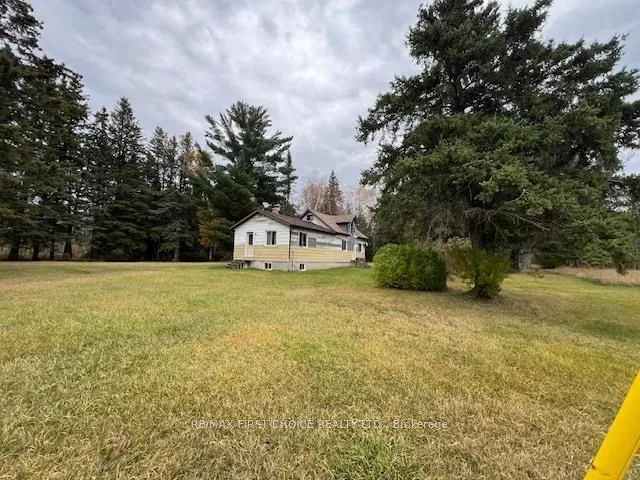 Detached in Dawson