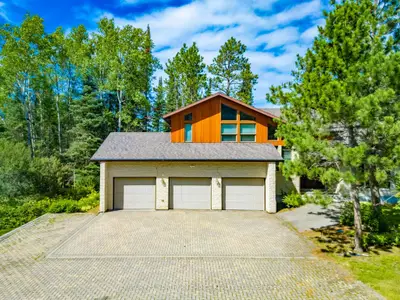 Detached in Dryden