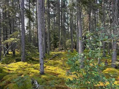 Vacant Land in Kenora