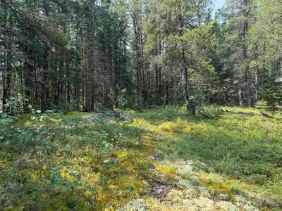 Vacant Land in Kenora