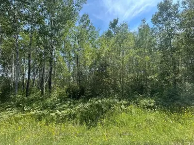Vacant Land in Emo