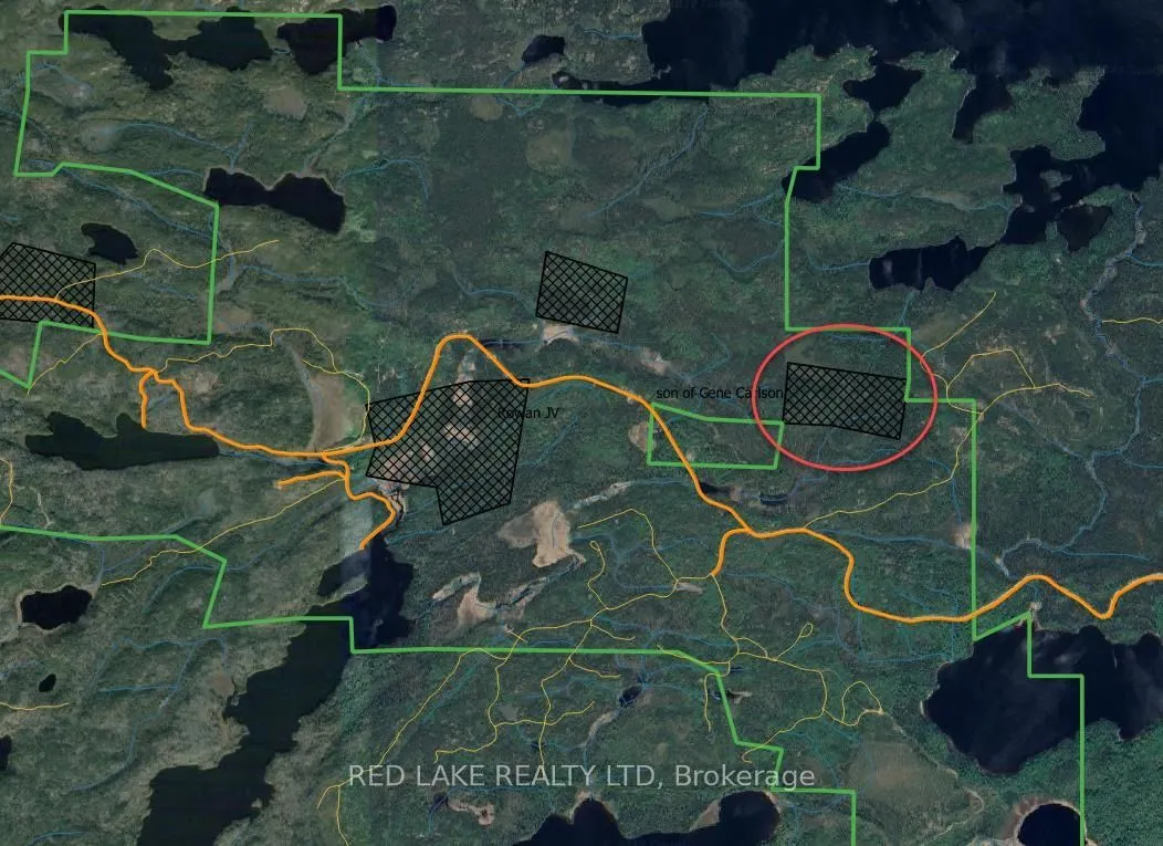 4704 Mount Jamie Road, Kenora Remote Area, On P0v 2m0