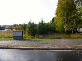 228 Sandy Beach Rd., Dryden, On P8n 3j6