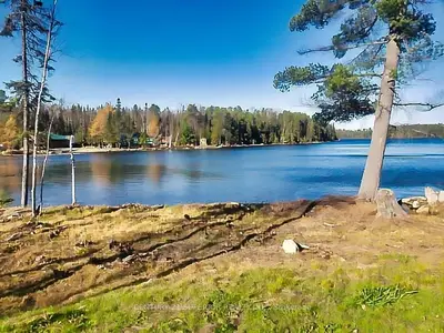 Vacant Land in Rainy River Remote Area