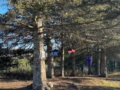 Vacant Land in Neebing