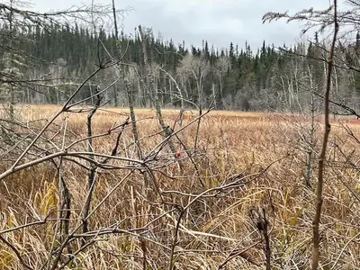Vacant Land in First Nations