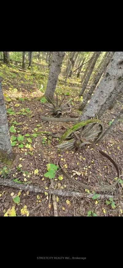 Vacant Land in Thunder Bay Remote Area