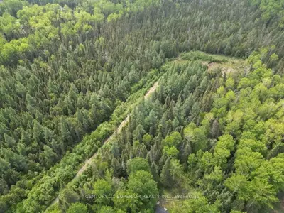 Vacant Land in Thunder Bay