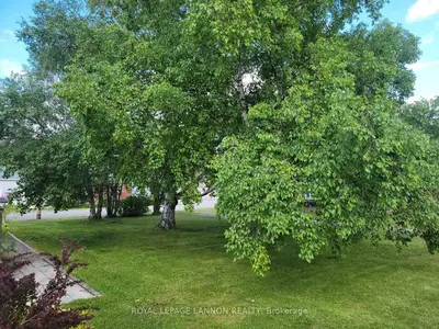 Semi-Detached in Schreiber