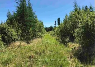 Vacant Land in Dawson