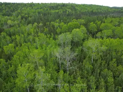 Vacant Land in Thunder Bay Remote Area