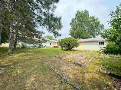 Detached in Red Lake