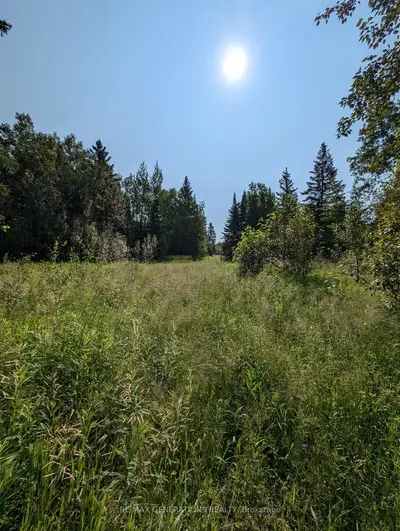 Vacant Land in Neebing