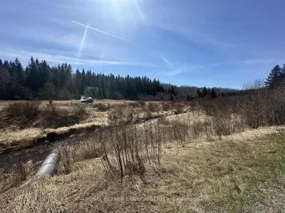 Vacant Land in Conmee