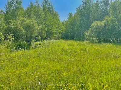 Vacant Land in Chapple