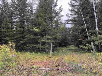 Vacant Land in Neebing